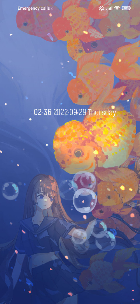Memory touch preview
