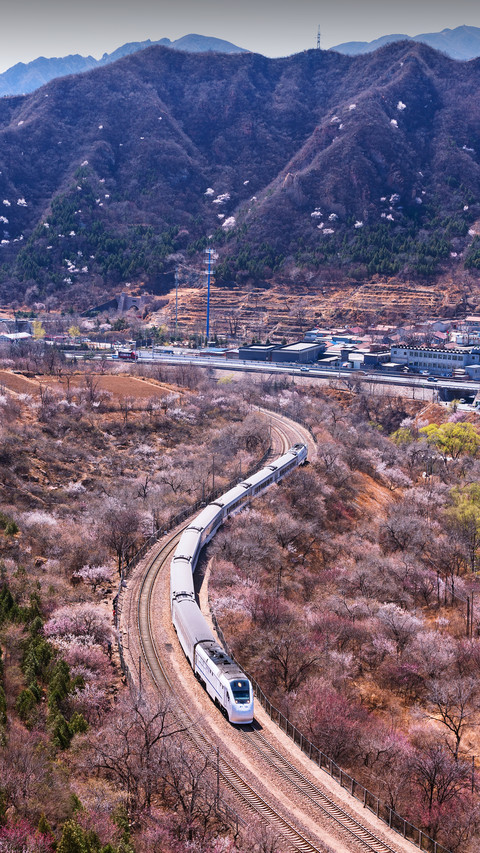 Beautiful Railway With Flowers on Both Sides preview