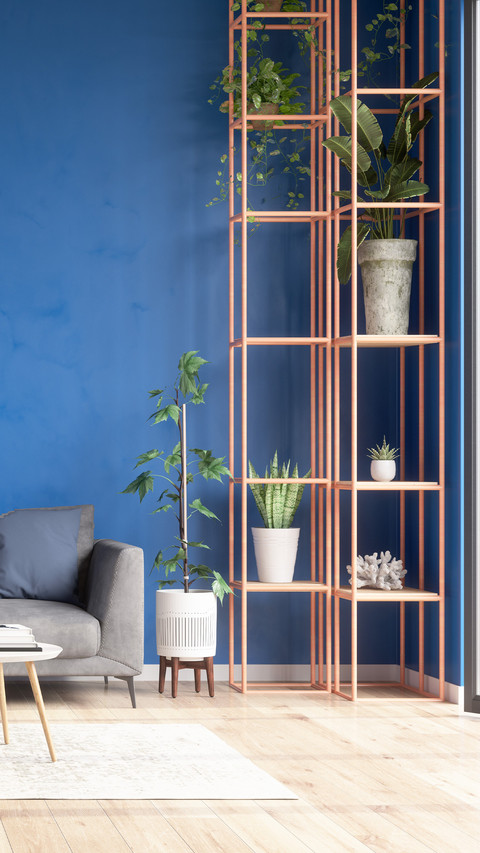 Plant a green plant to light up life preview
