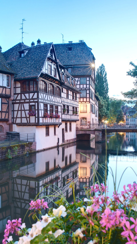 Fall in love with Alsace 61 preview
