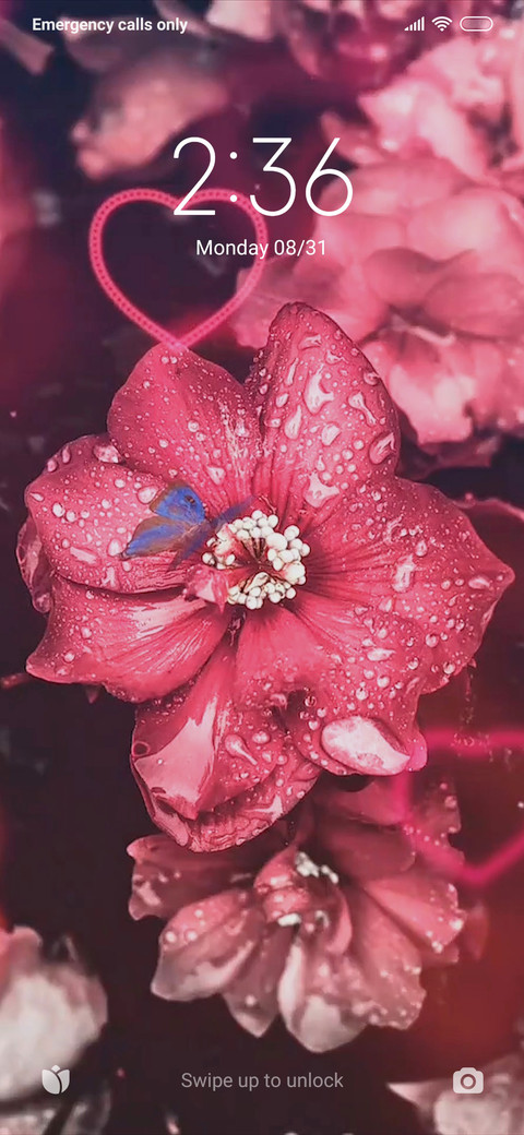Blossom KPV preview