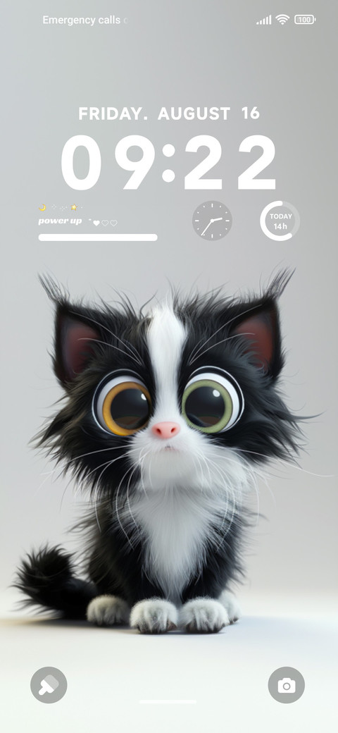 fluffy cat preview