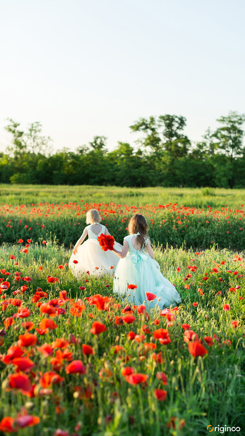 flower (12) preview