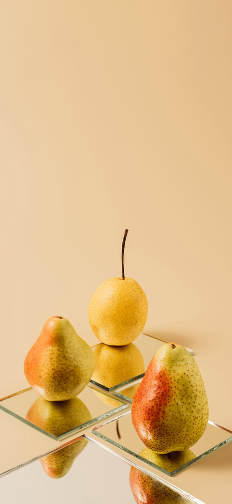 The Mirror  and The Still Life-PAIXIN preview