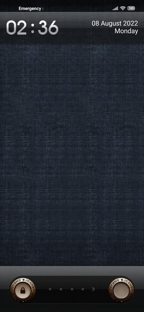 Denim preview