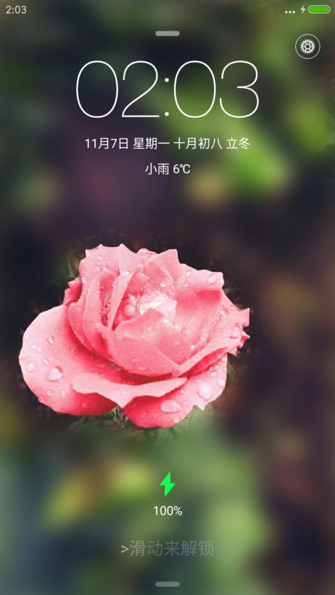 滴水玫瑰 preview