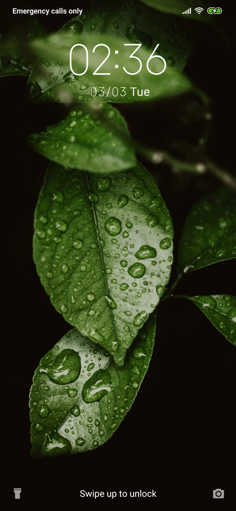 GreenLeaves_3MDP preview