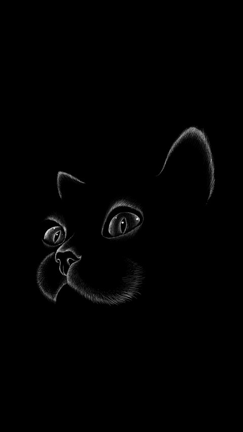 黑猫先生-拍信图库 preview