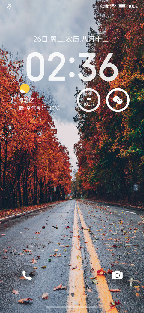 秋风落叶 preview