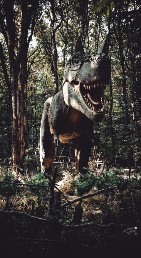 Dinosaur (5) preview