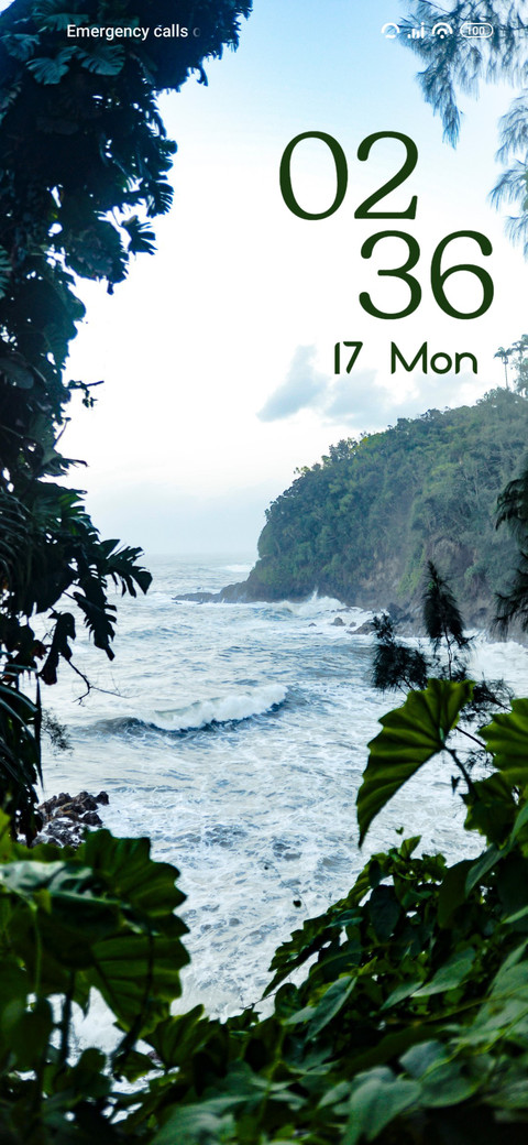 Rainforest preview
