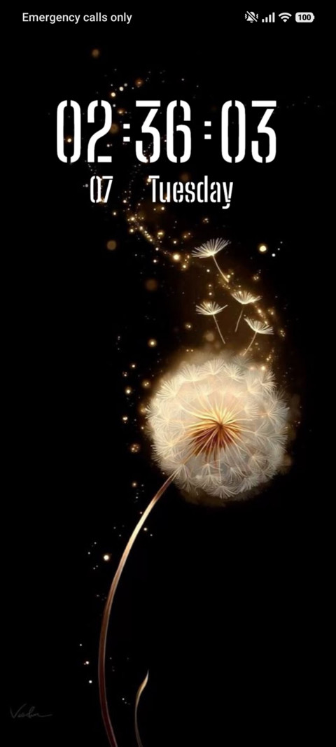Golden Wish preview