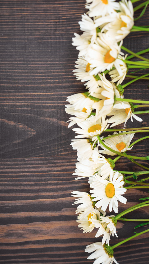 Suitable flower materials for family flower arrangement 23 preview