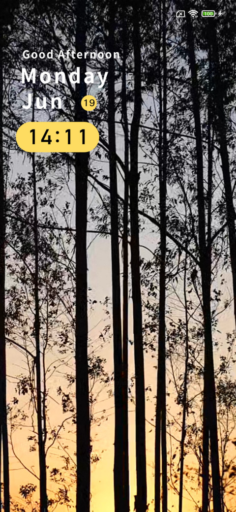 Sunset glow forest preview