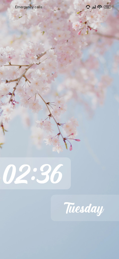 Cherry blossom preview