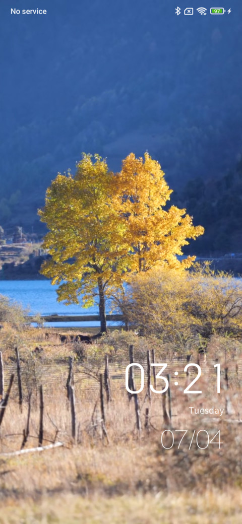 Distant tree preview
