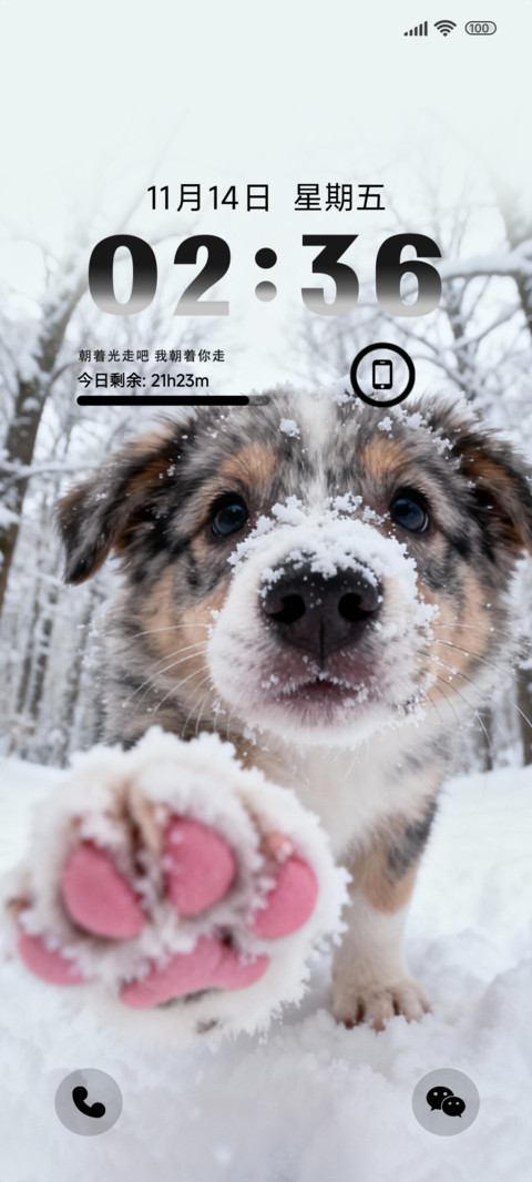 雪地里的小狗 preview