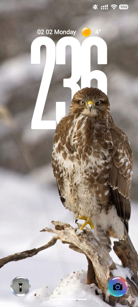 OX M-STONE MIUI Customization