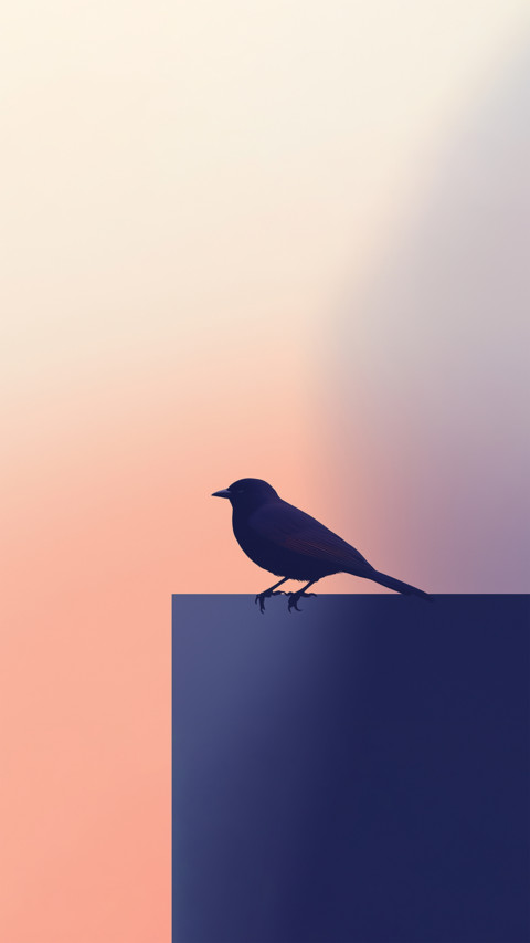 Silhouette preview