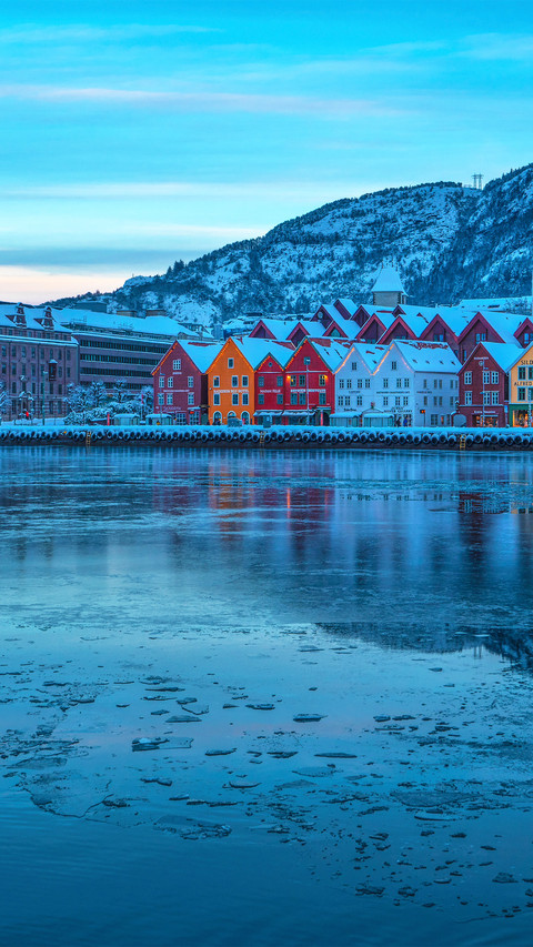 The winter scenery of bergen preview
