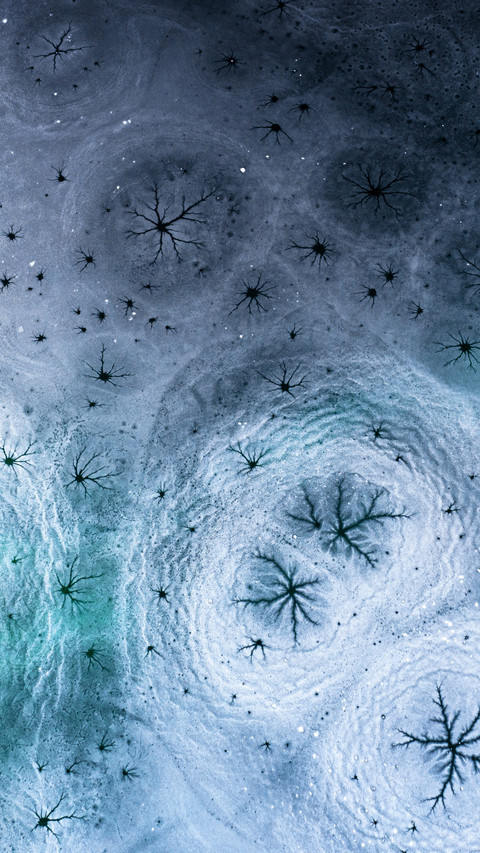 The Frozen Lake's Wonders Hold the Charm of Frost preview