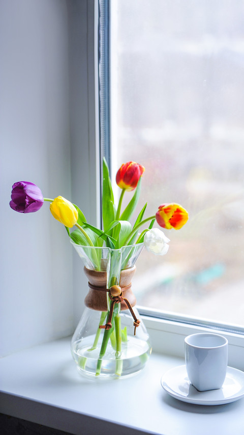 Bouquet of multi-colored tulips in a glass container preview