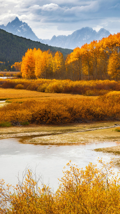 Autumn in the distance preview