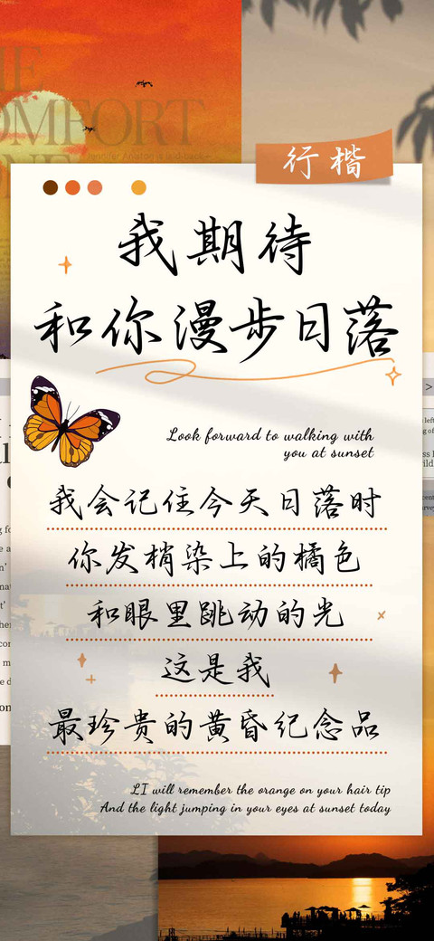 我期待和你漫步日落 preview