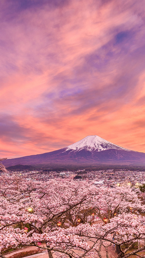 Mount Fuji-PAIXIN preview