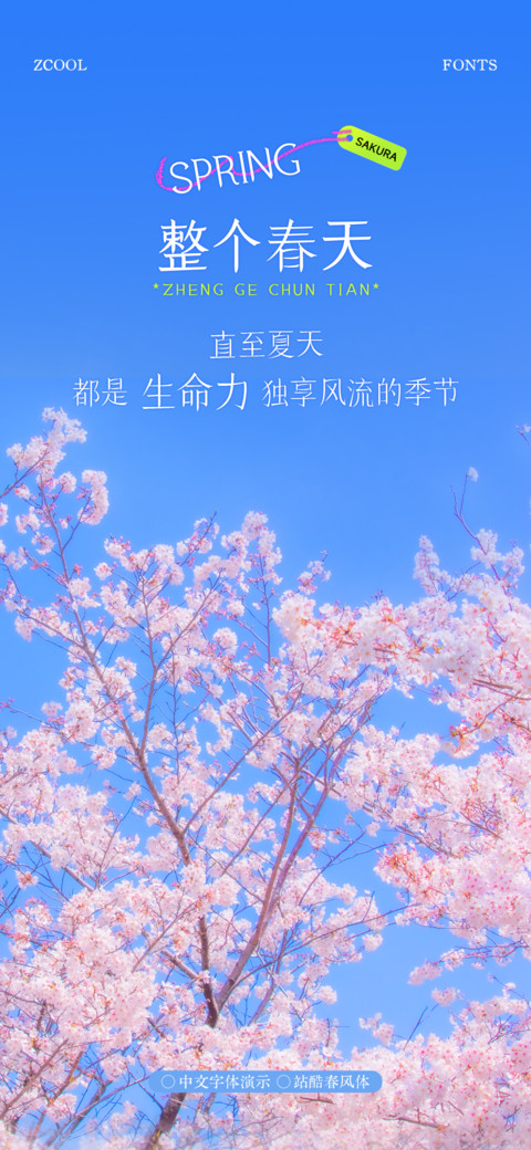 站酷春风体 preview