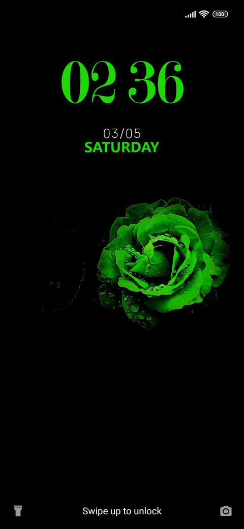 Green Rose preview