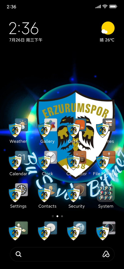 ERZURUM SPOR preview
