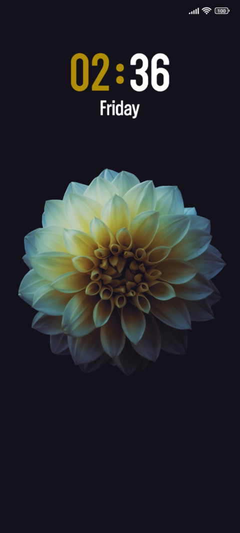 White Flower preview