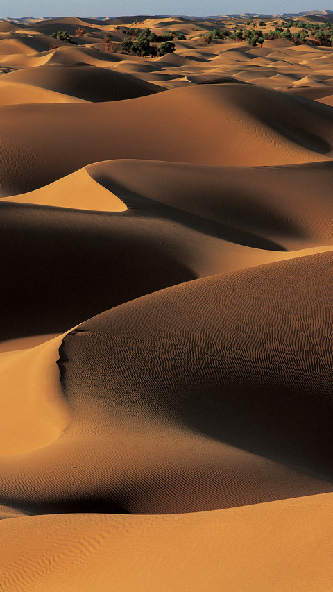desert preview