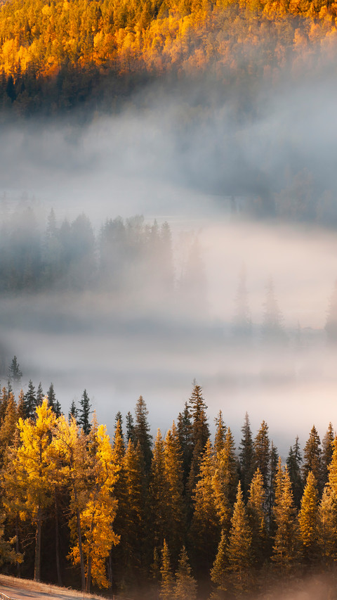 Autumn Scenery Filled with Morning Fog in Kanas preview