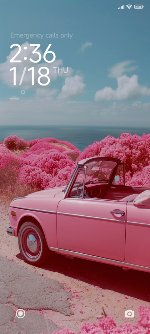 PurePink preview