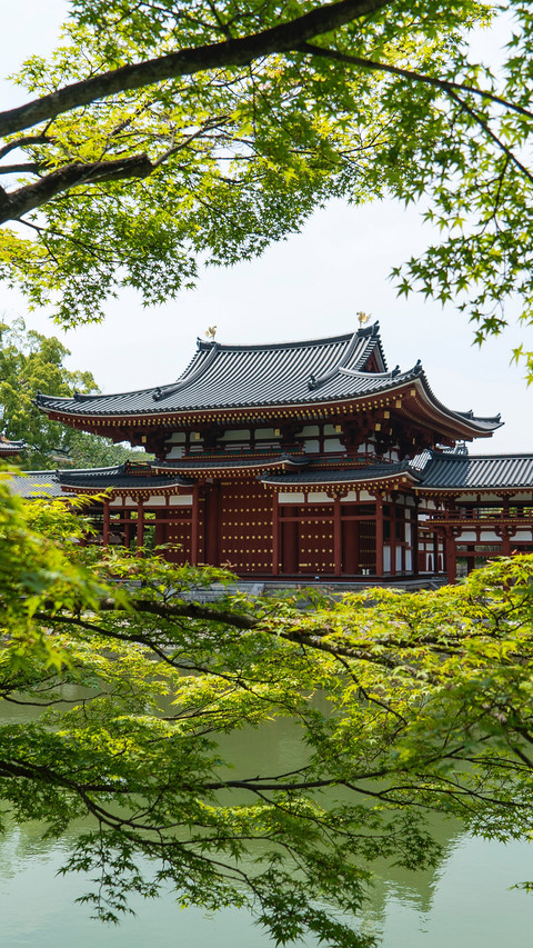 世界遗产宇治市平等院 preview