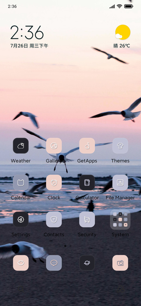 Seagull preview