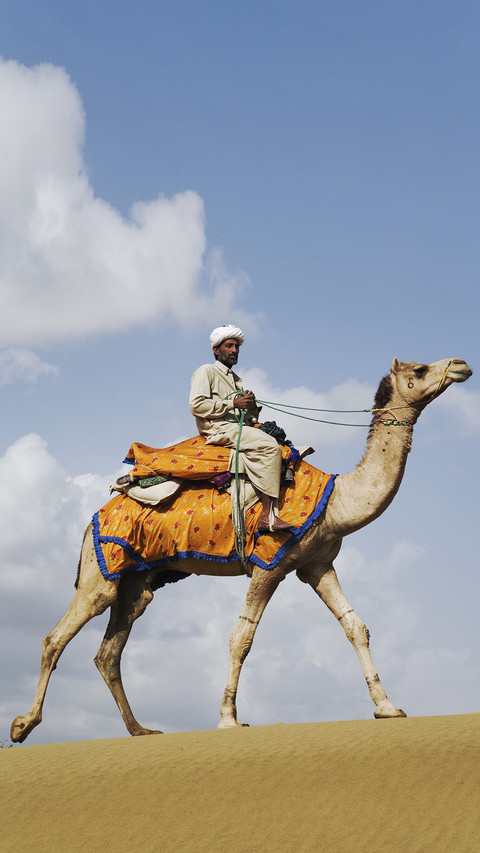 India-camel preview