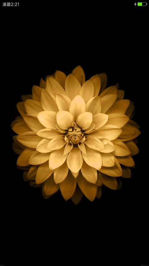 iOS Gold preview