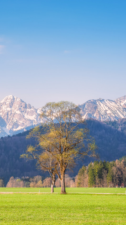 Fine spring landscape with a road along beautiful mountains preview