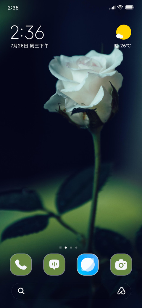 Delicate White preview