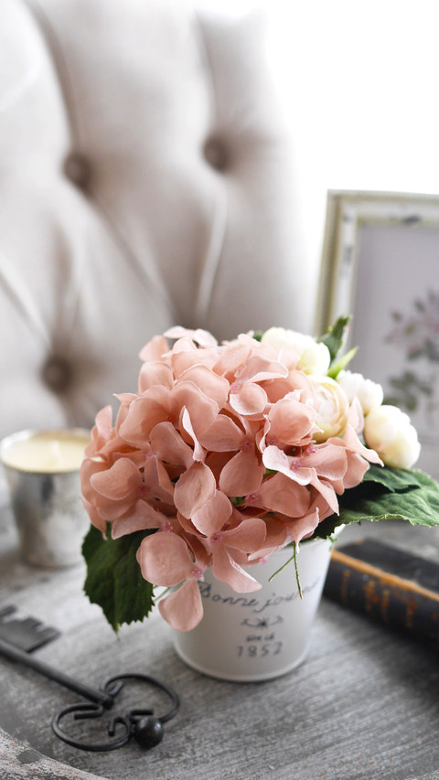 Hydrangea preview