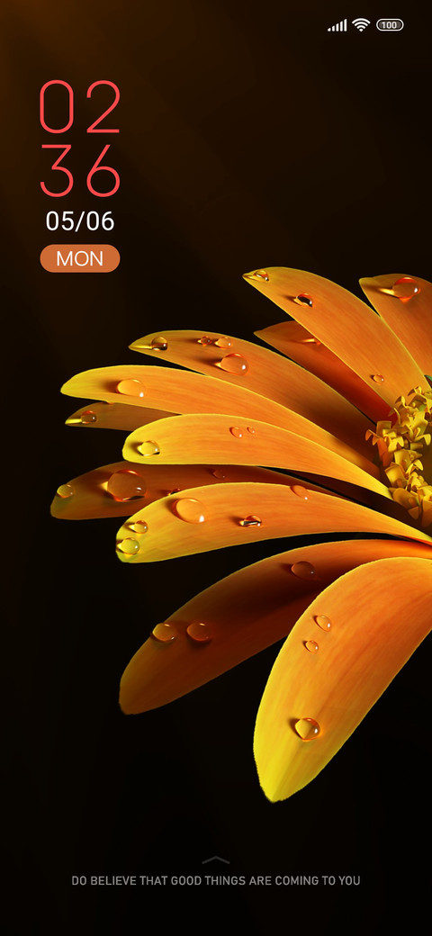 Morning dew preview