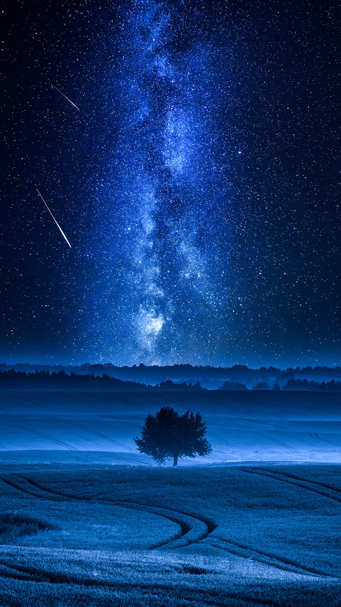 Milky Way and Falling Stars over Filed with One Tree preview