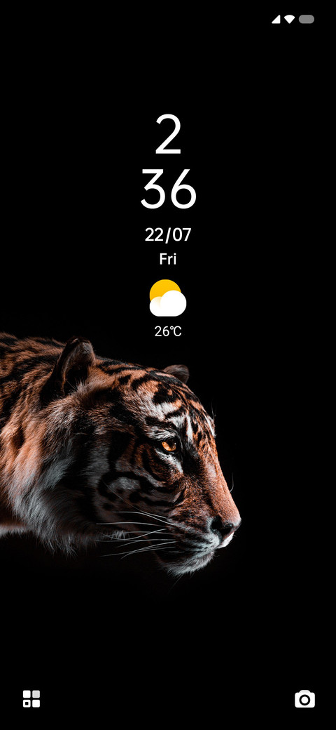 TIGER Y preview