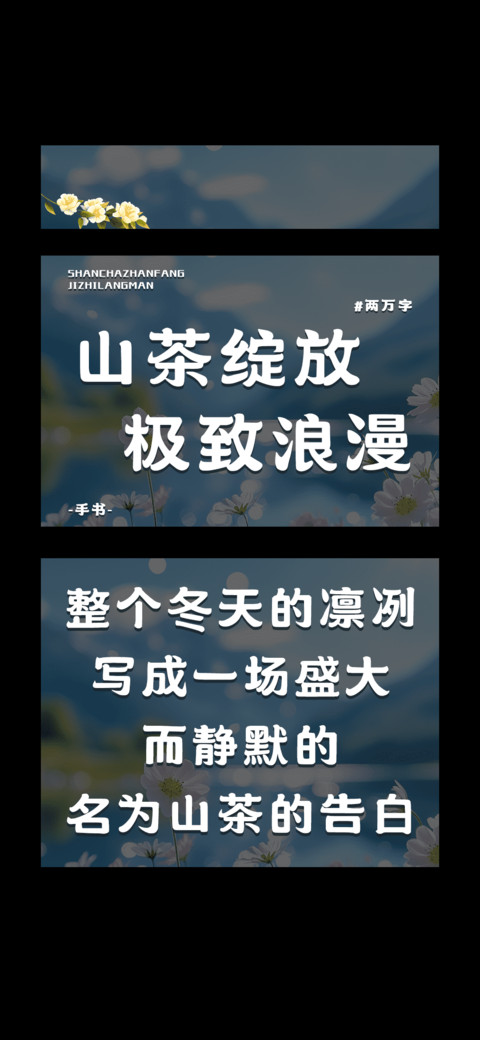 山茶绽放极致浪漫 preview