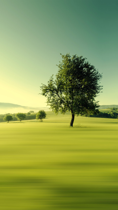 Green morning preview