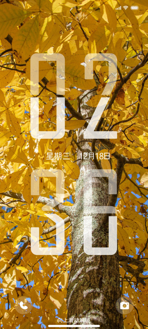 向上生长 双时间 preview