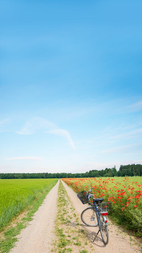 Good scenery in spring-01 preview